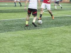 体育入口,资讯,db体育入口,db体育入口,db体育官网,db体育app下载,db体育平台官网