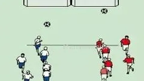 db体育入口 资讯 124926 cec