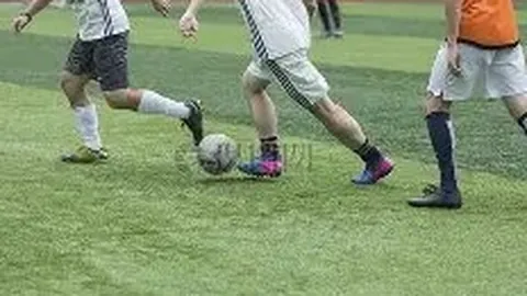 db体育入口 资讯 123517 0on