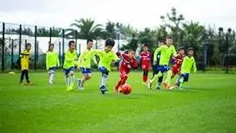 娱乐圈真相大揭秘：顶流困境曝光，内娱明星势力版图揭晓，肖战遭遇引热议