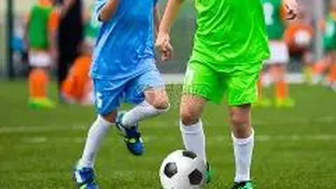 db体育入口 产品 123930 gvk