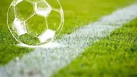 db体育入口 产品 123846 yx8