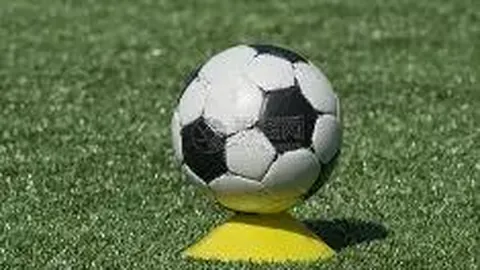 db体育入口 资讯 123854 gxv