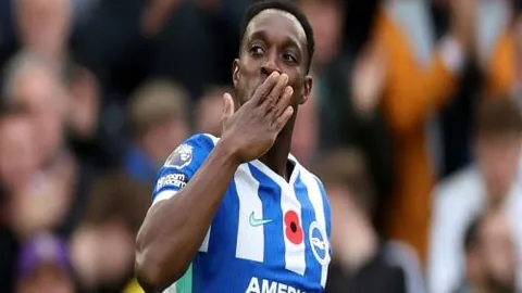 db体育入口 产品 101928 1fw